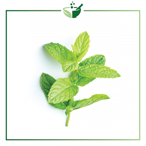 Peppermint Infused Oil-01